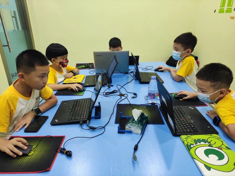 访谈记录：探讨Python与Java在企业开发中的应用